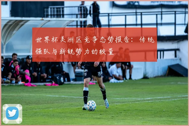 世界杯美洲区竞争态势报告：传统强队与新锐势力的较量