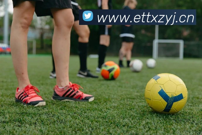 kaiyun体育官网登录入口平台生态图